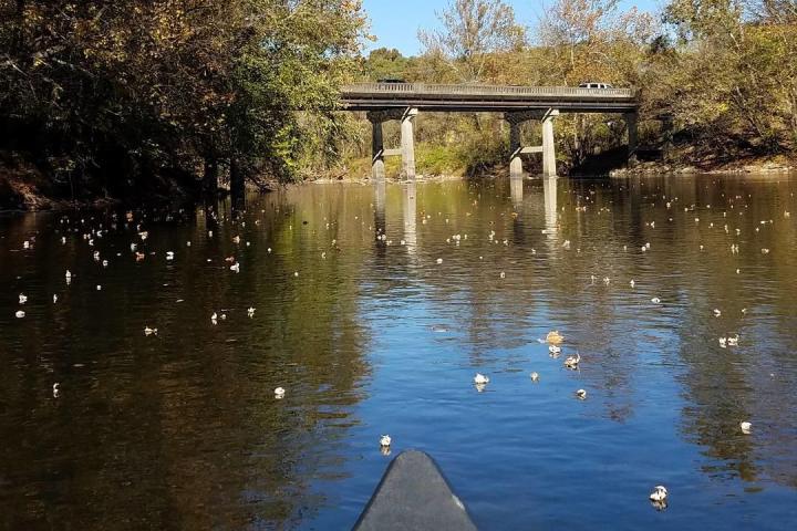 a bridge over a body of water